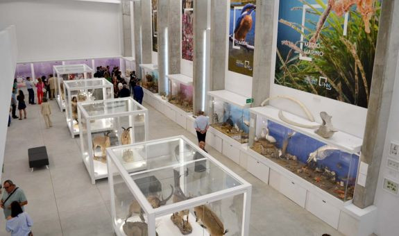 Salida de campo: Pabellón de Historia Natural de la Universidad de Almería